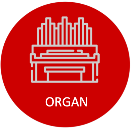 organprogram