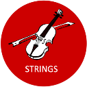 stringsprogram